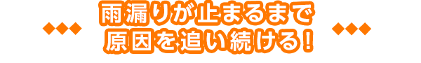 雨漏りが止まるまで原因を追い続ける!