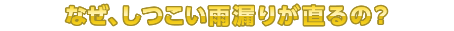 なぜ、しつこい雨漏りが直るの？