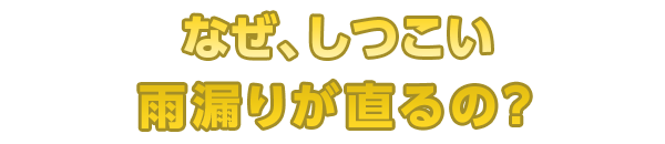 なぜ、しつこい雨漏りが直るの?
