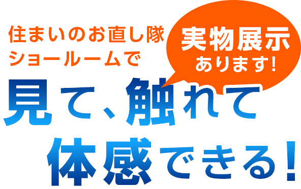 見て触って体感できる!!