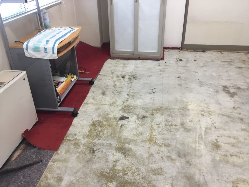 フロアカーペット張替中