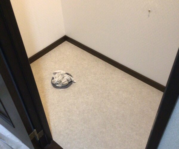 作業中IMG_1621 (1)